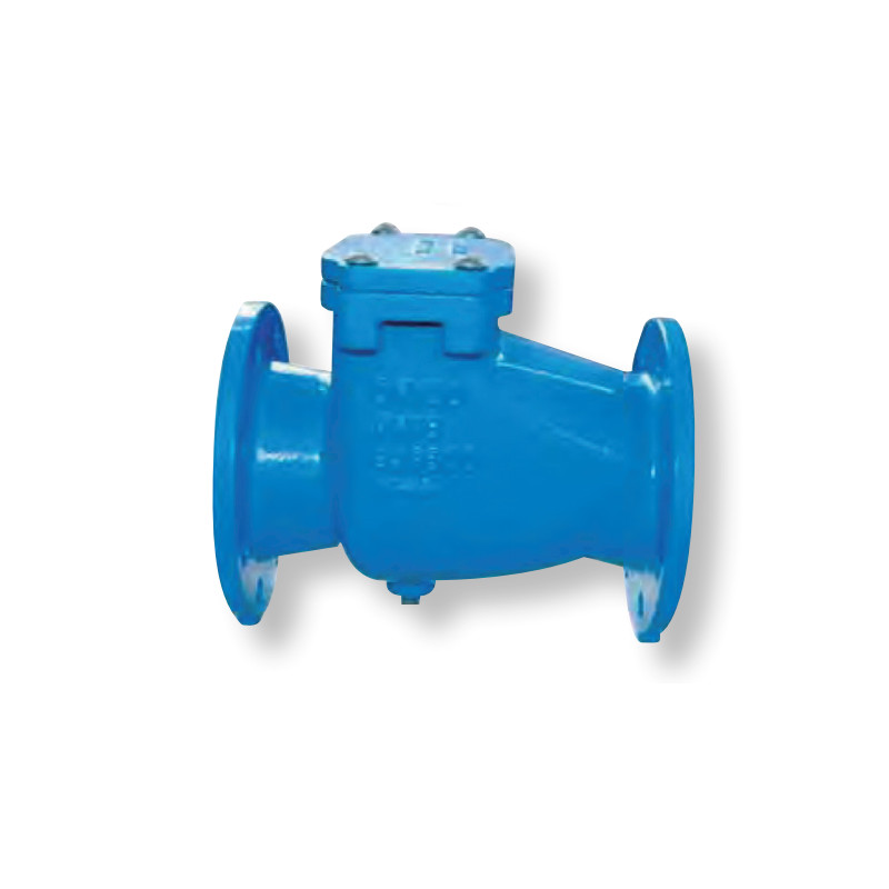 Swing check valve